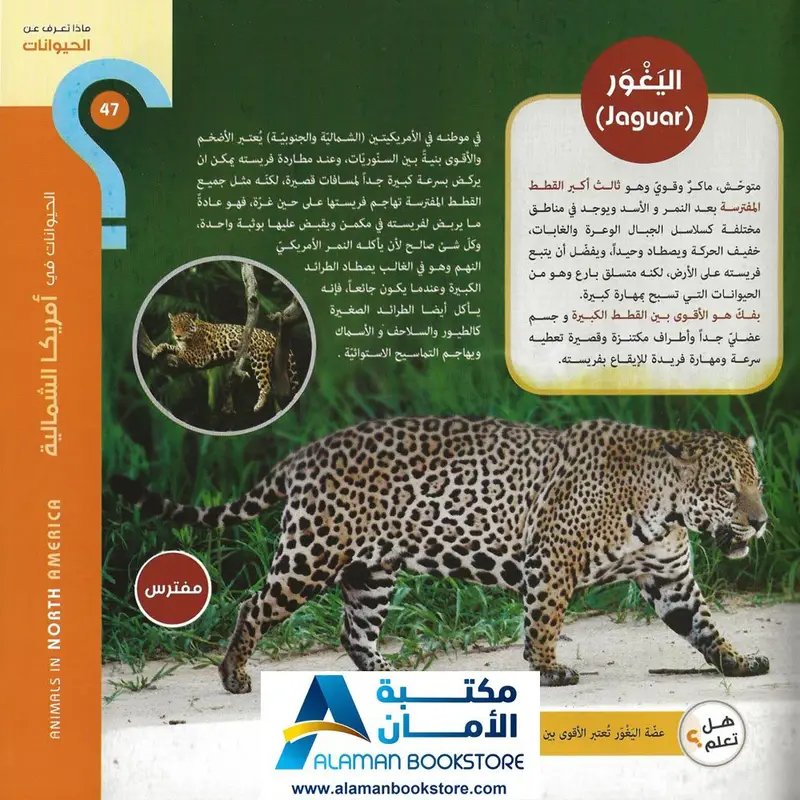 كتاب ماذا تعرف عن الحيوانات thumbnail 7