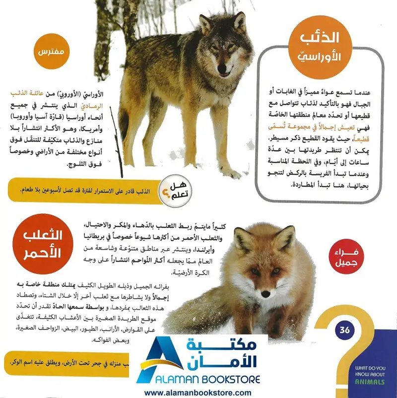 كتاب ماذا تعرف عن الحيوانات thumbnail 6
