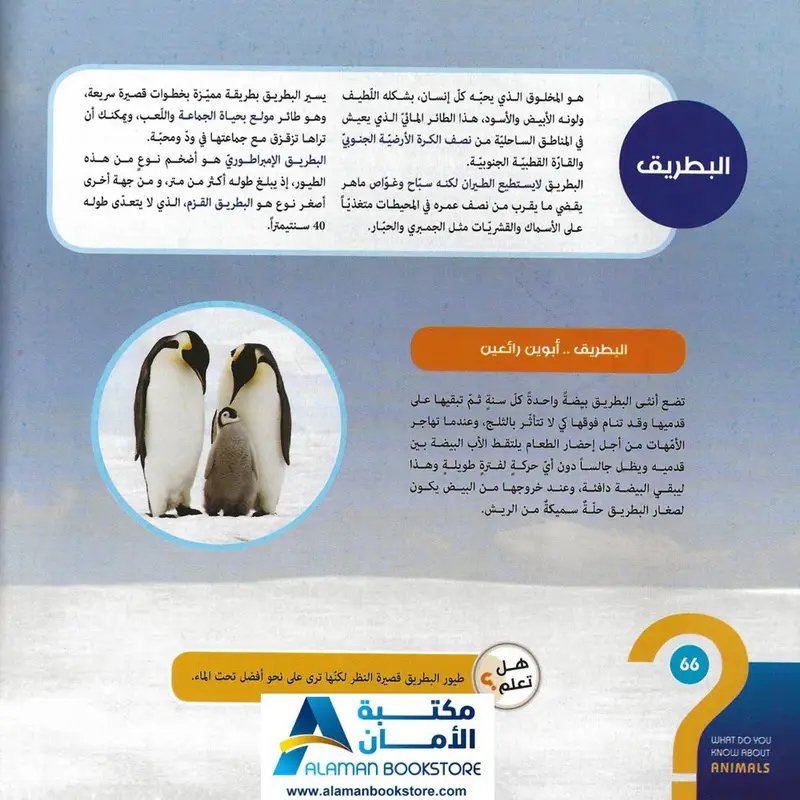 كتاب ماذا تعرف عن الحيوانات thumbnail 8