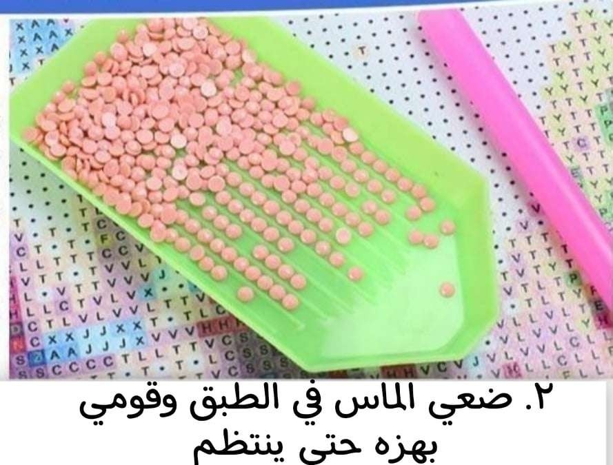 تلوين بالماس اشكال ليتل بوني حجم 25×25سم thumbnail 3