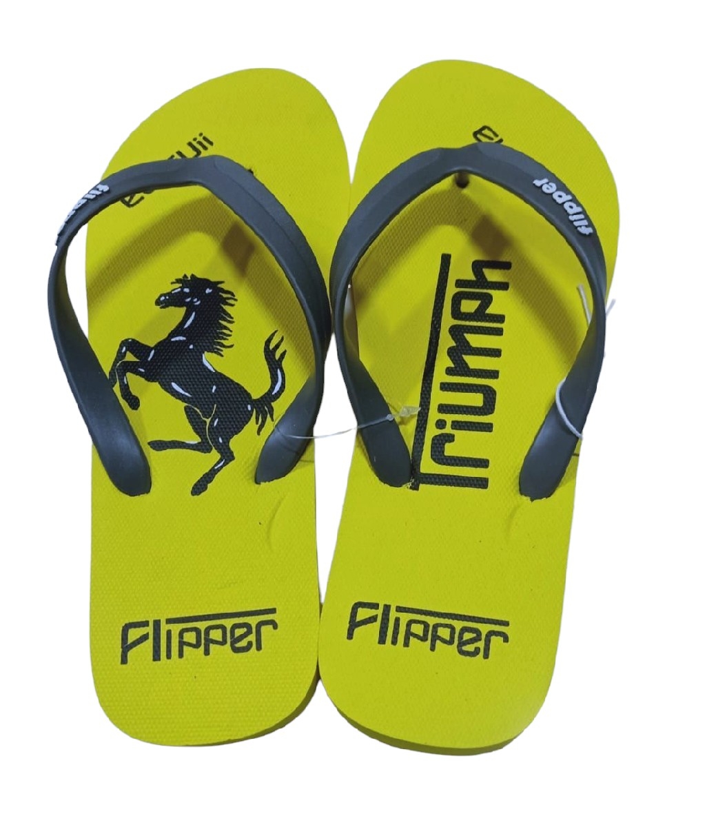 سليبر فليب فلوب flipper thumbnail 2