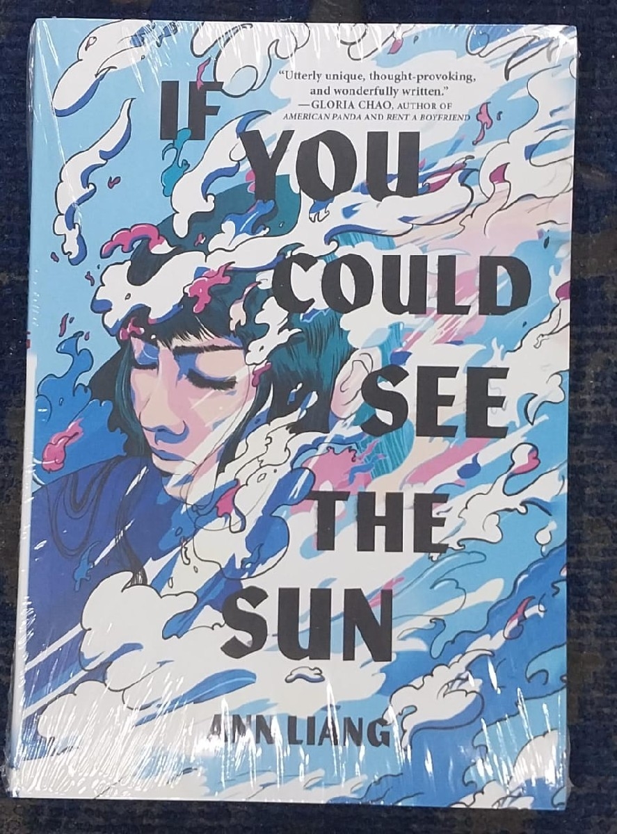 if you could see the sun 
