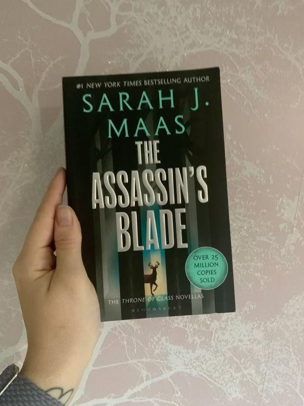 the assassin's blade