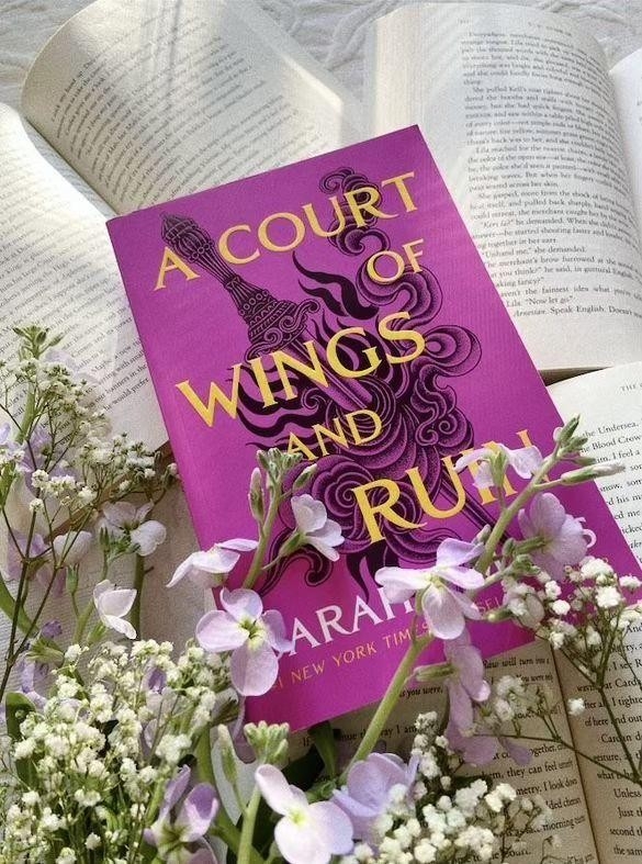 a court of wings and ruin
