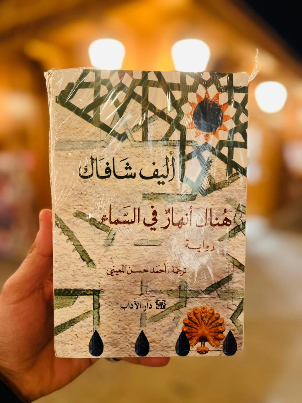 هناك أنهار في السماء 