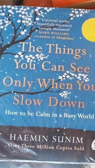 the things you can see only when you slow down